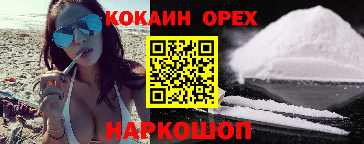 Галлюциногенные грибы Сланцы