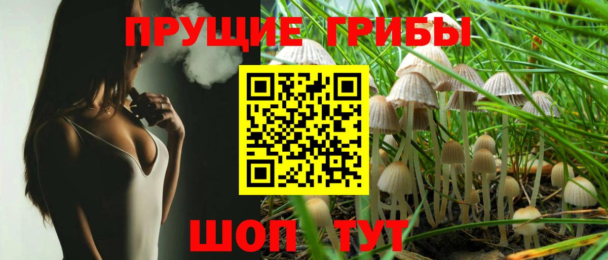 Сланцы  Галлюциногенные грибы мухоморы  Вход с VPN 